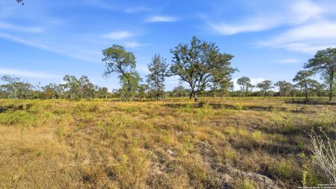 Tbd Turkey Tree Trail Seguin TX 78155