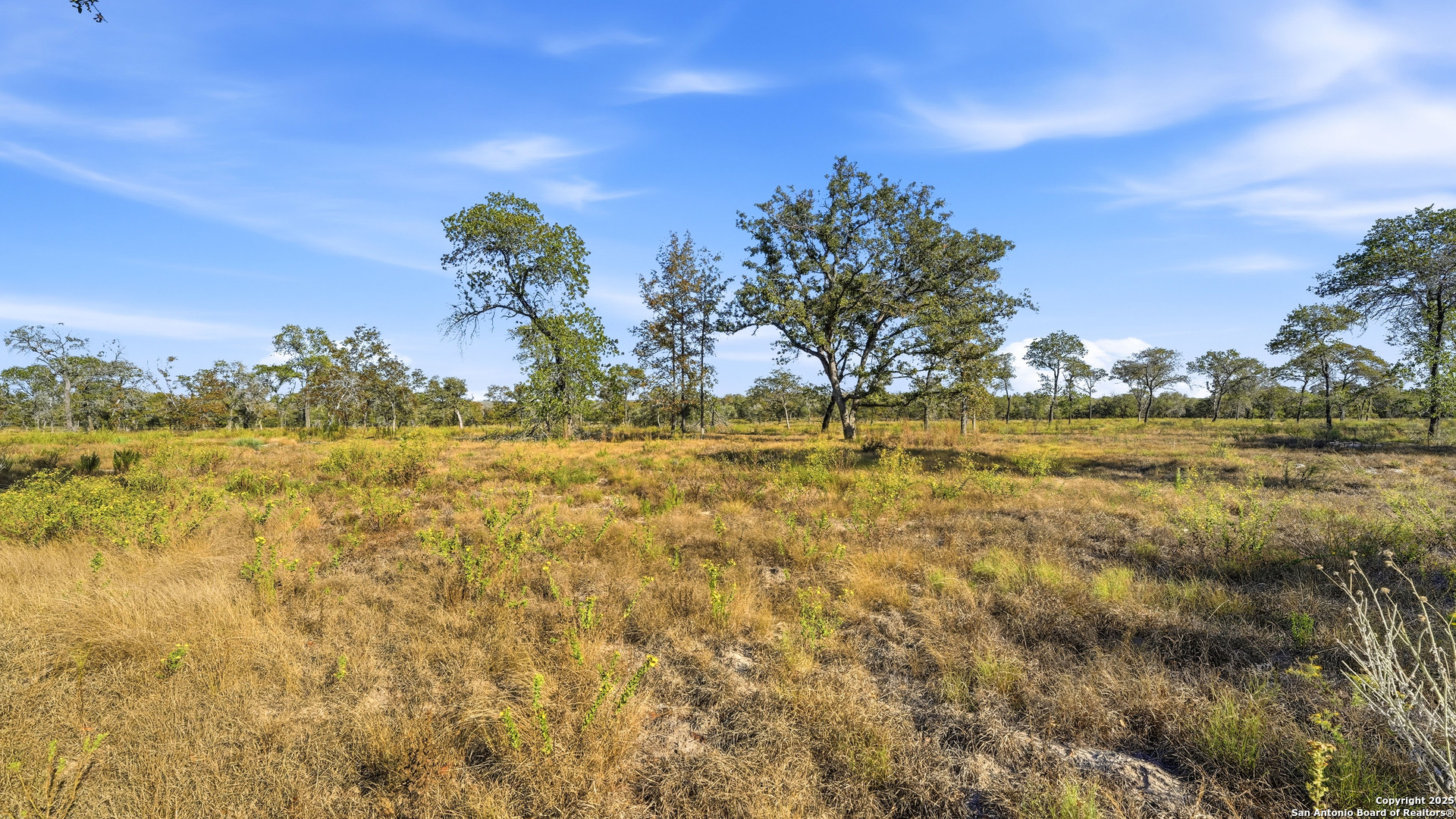 Tbd Turkey Tree Trail Seguin TX 78155