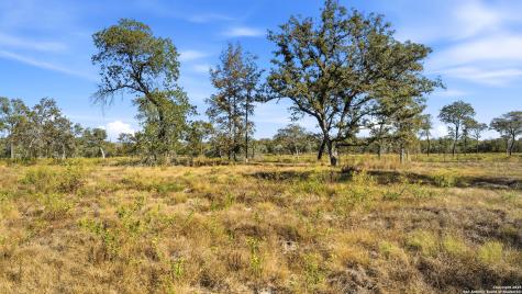 Tbd Turkey Tree Trail Seguin TX 78155