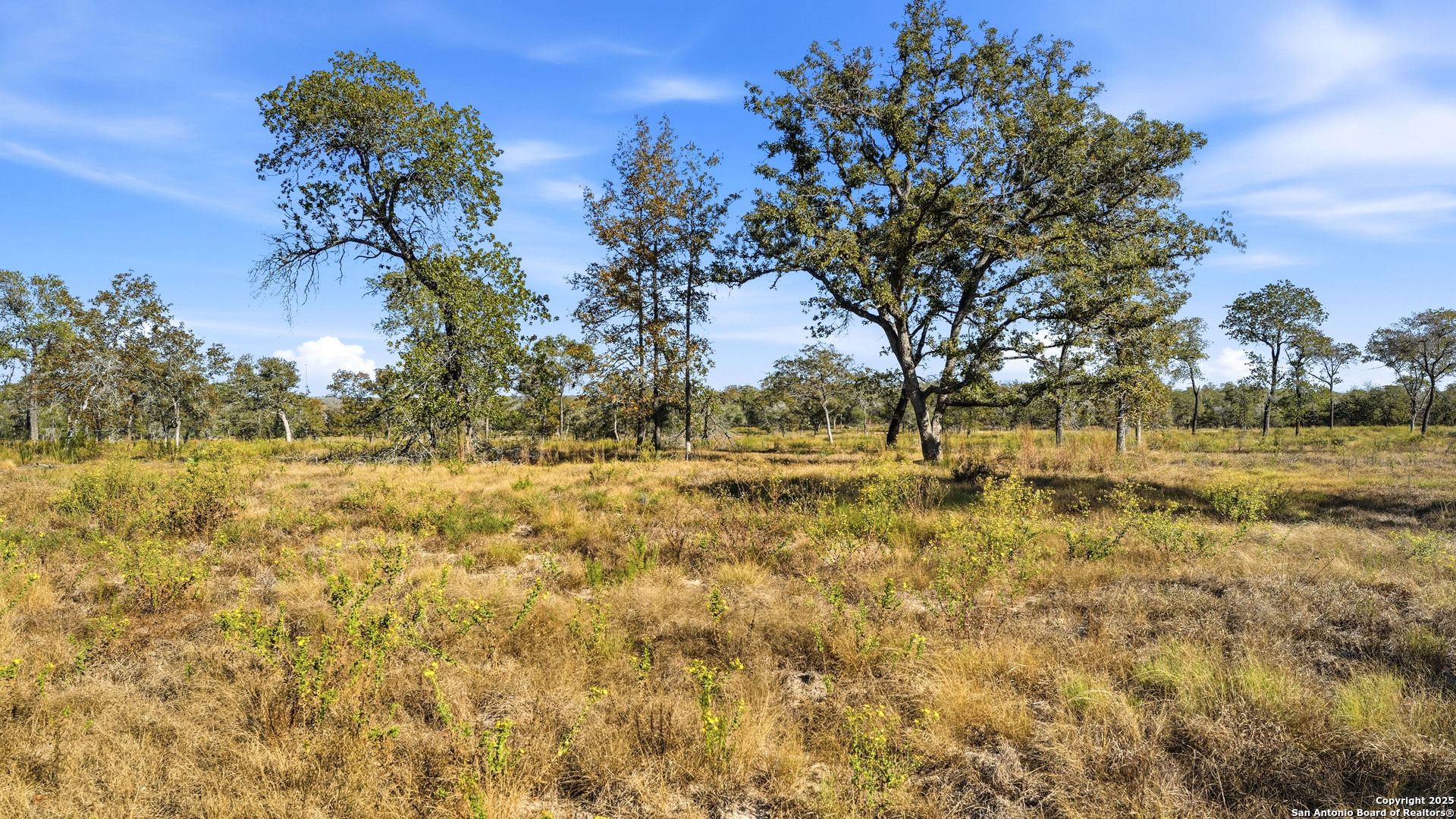 Tbd Turkey Tree Trail Seguin TX 78155