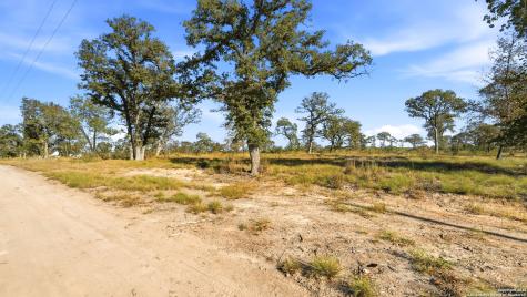 Tbd Turkey Tree Trail Seguin TX 78155