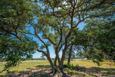 143 Agrihood Fredericksburg TX 78624