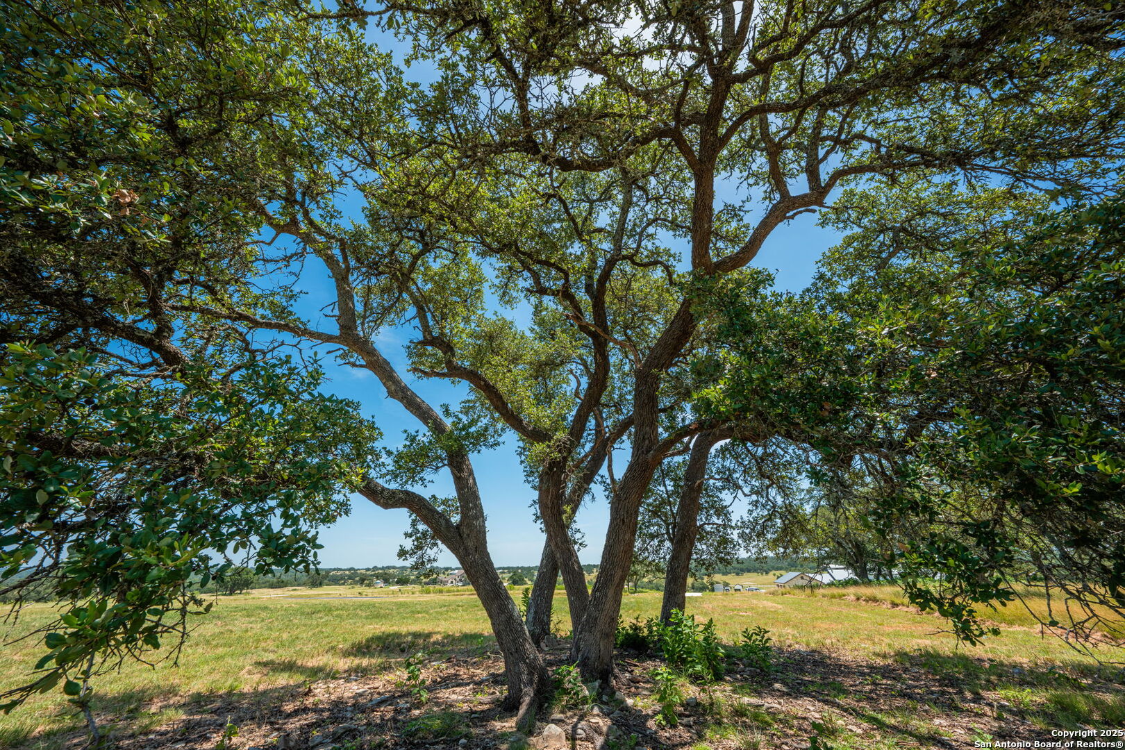 143 Agrihood Fredericksburg TX 78624