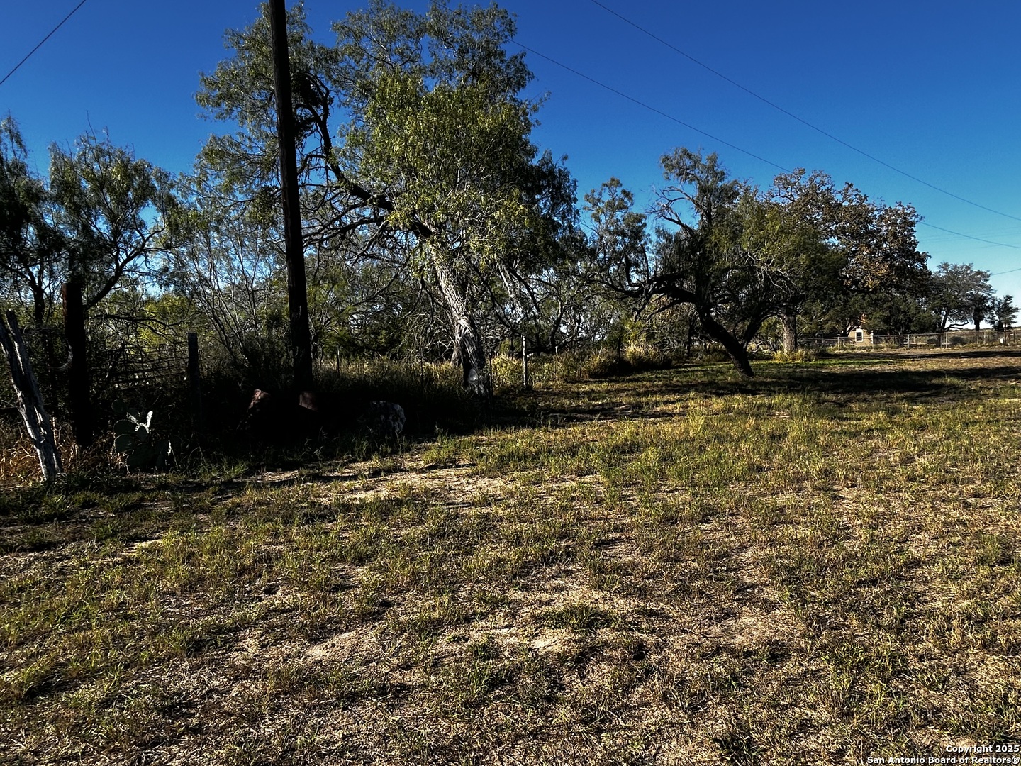Tbd County Road 777 Devine TX 78016