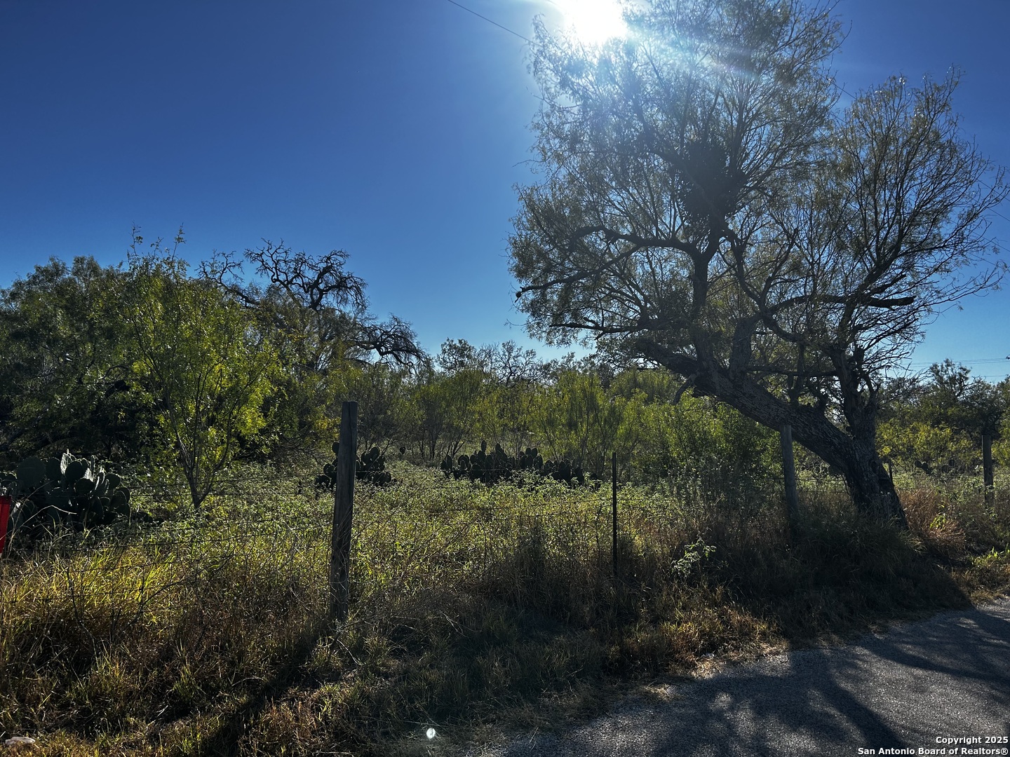Tbd County Road 777 Devine TX 78016