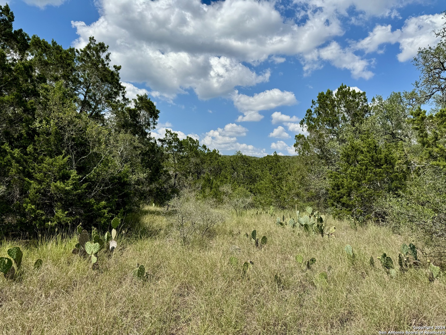 Lot 10 Pr 2535 Mico TX 78056