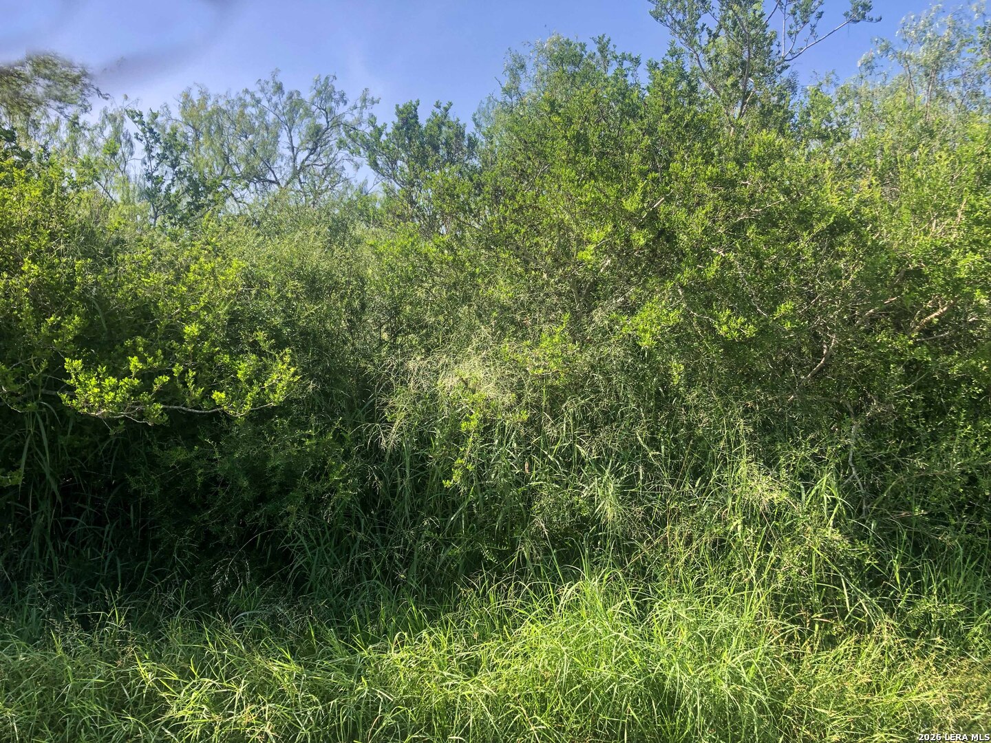 000 Cr 619 Skidmore TX 78389