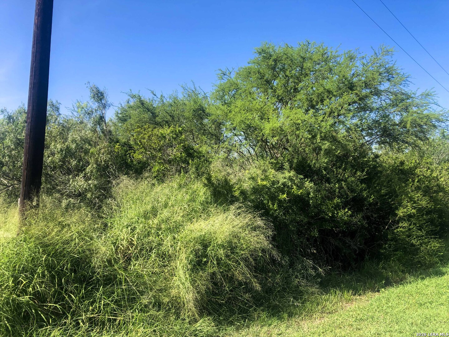 000 Cr 619 Skidmore TX 78389