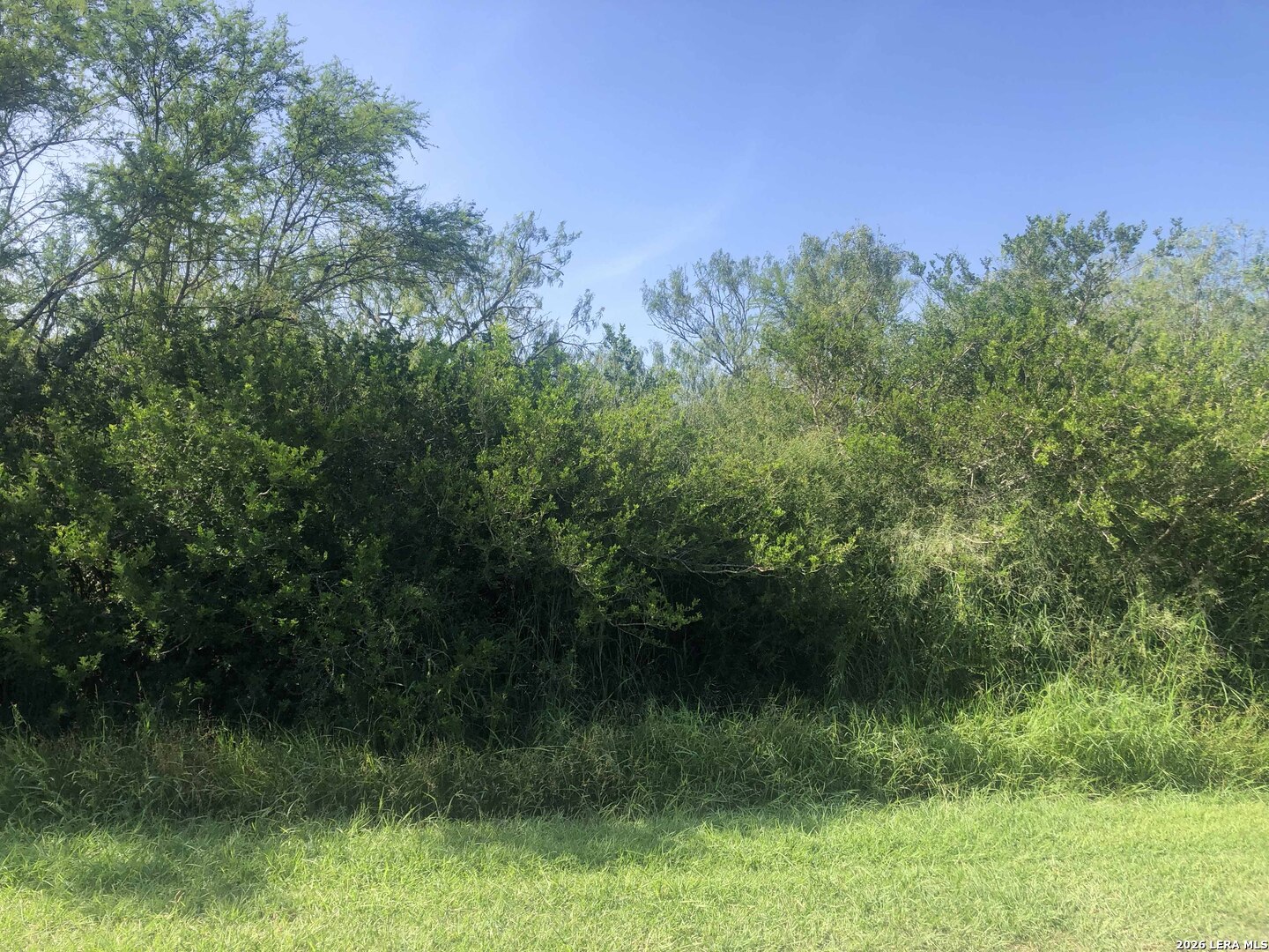 000 Cr 619 Skidmore TX 78389