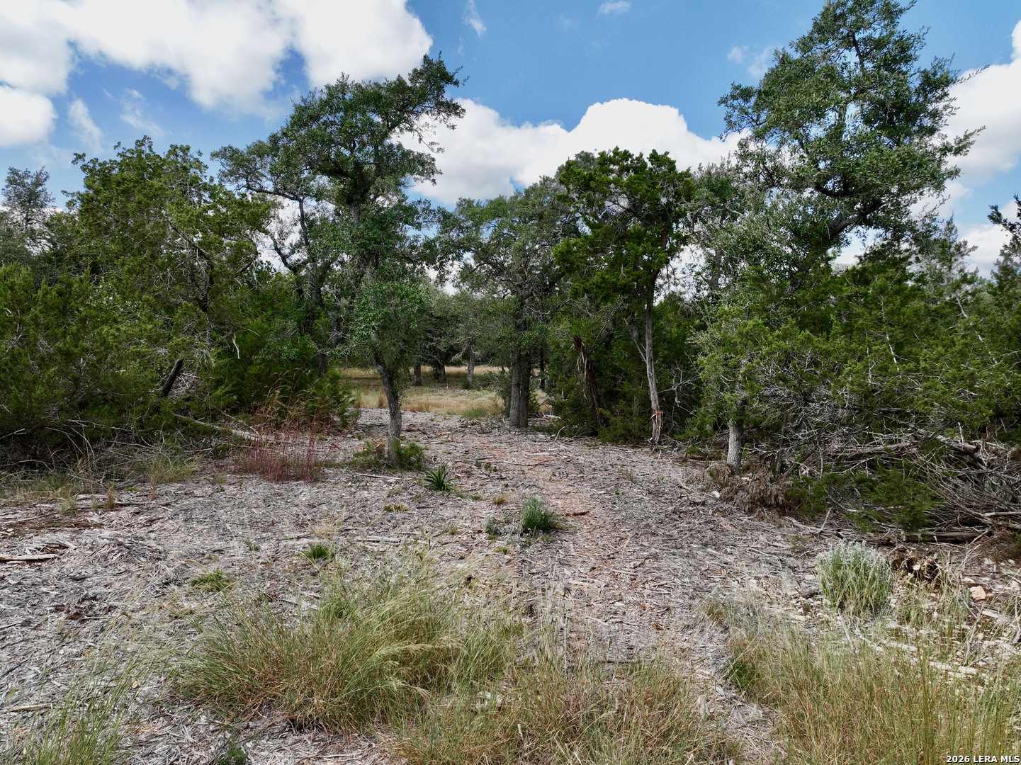 19825-B Ranch Road 12 Driftwood TX 78619