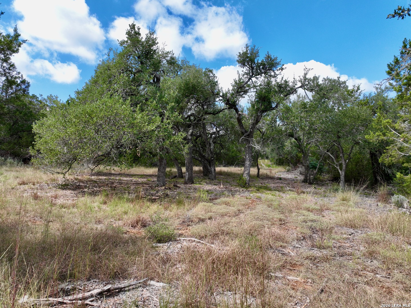 19825-B Ranch Road 12 Driftwood TX 78619
