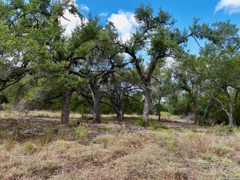 19825-B Ranch Road 12 Driftwood TX 78619