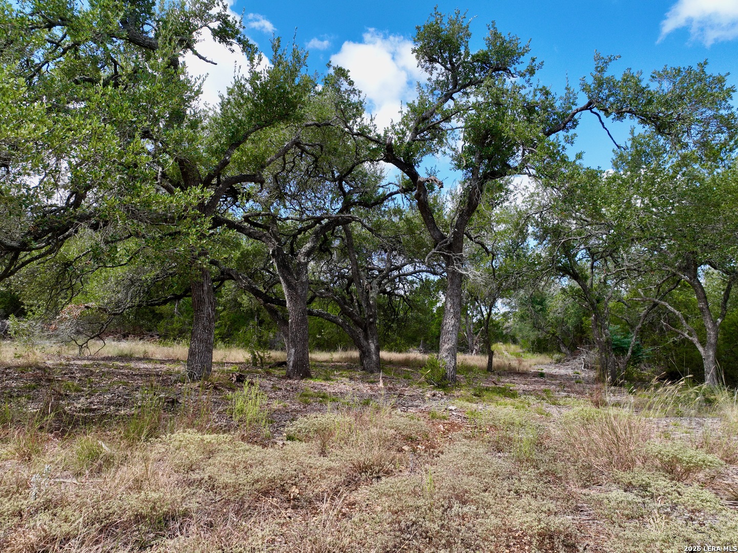 19825-B Ranch Road 12 Driftwood TX 78619