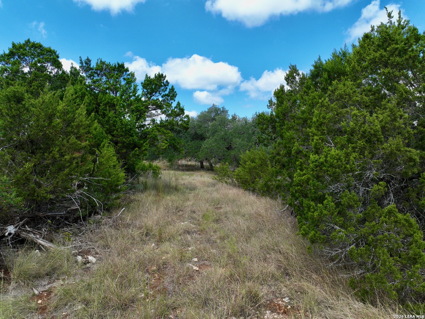 19825-B Ranch Road 12 Driftwood TX 78619