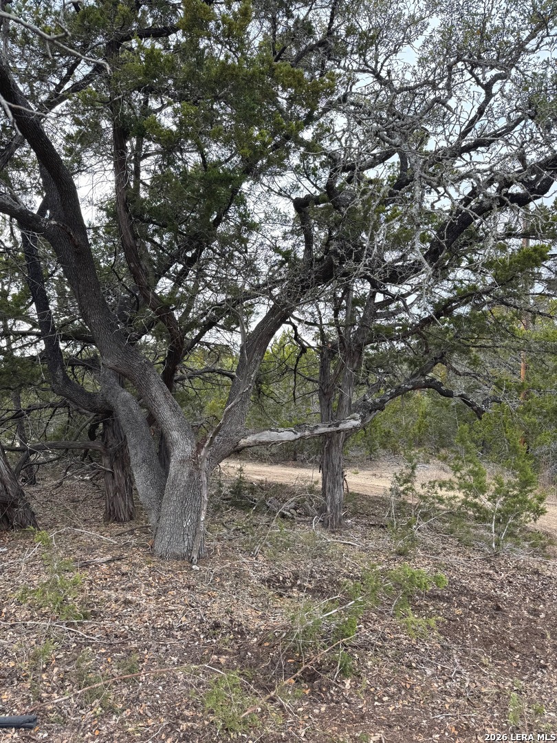 Tbd Stoney Hill Lane Pipe Creek TX 78063