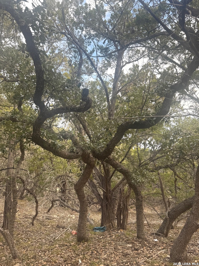Tbd Stoney Hill Lane Pipe Creek TX 78063