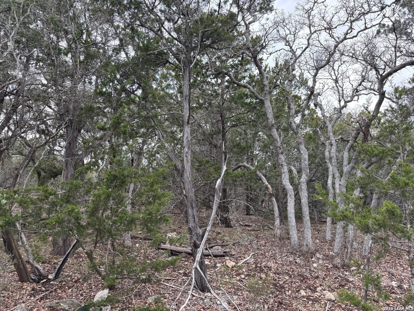 Tbd Stoney Hill Lane Pipe Creek TX 78063