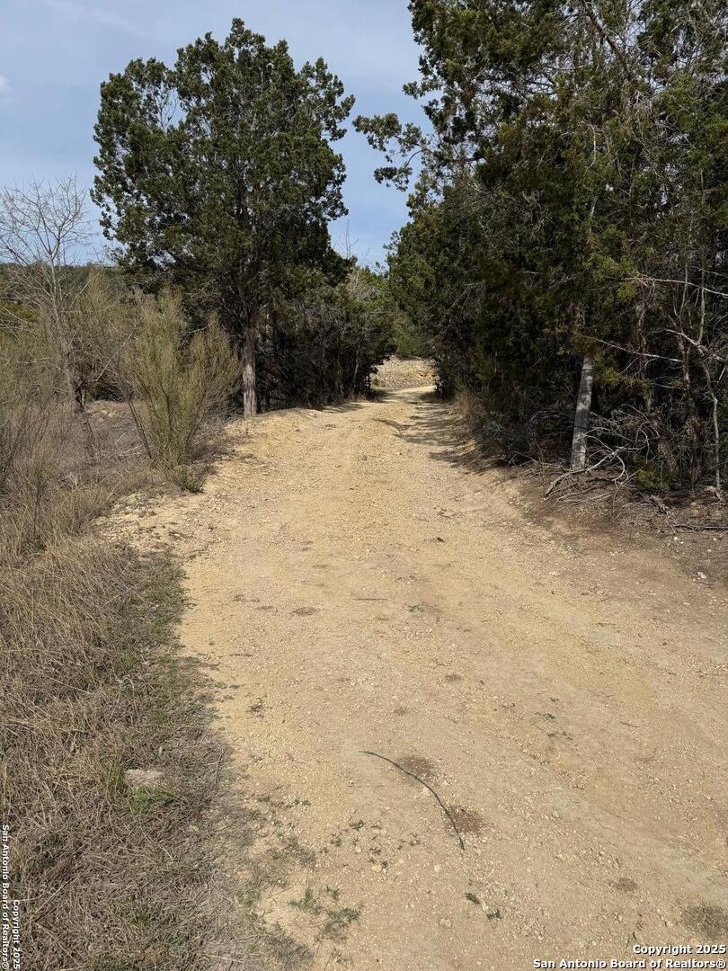Tbd Bisonte Rojo (Mesa Verde Park) Medina TX 78055