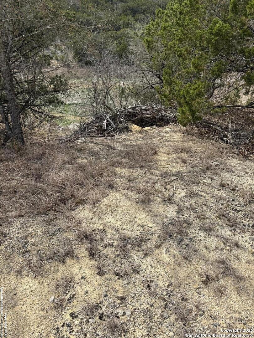 Tbd Bisonte Rojo (Mesa Verde Park) Medina TX 78055