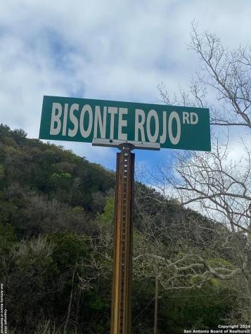 Tbd Bisonte Rojo (Mesa Verde Park) Medina TX 78055