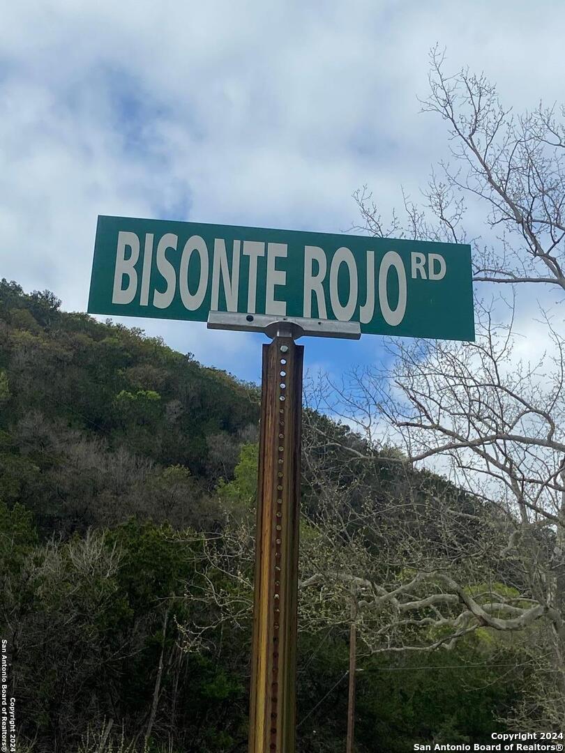 Tbd Bisonte Rojo (Mesa Verde Park) Medina TX 78055