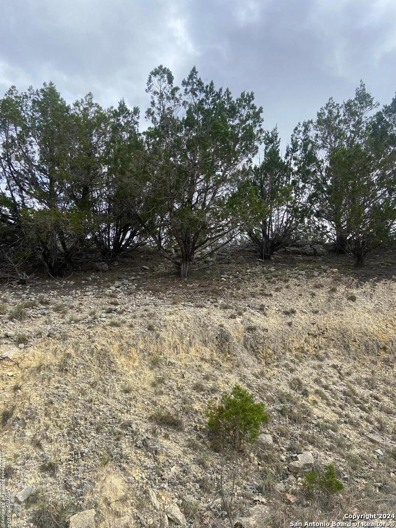 Tbd Bisonte Rojo (Mesa Verde Park) Medina TX 78055