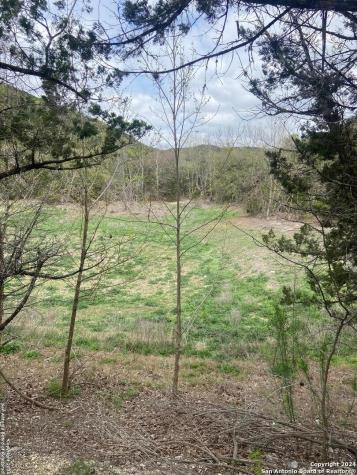 Tbd Bisonte Rojo (Mesa Verde Park) Medina TX 78055