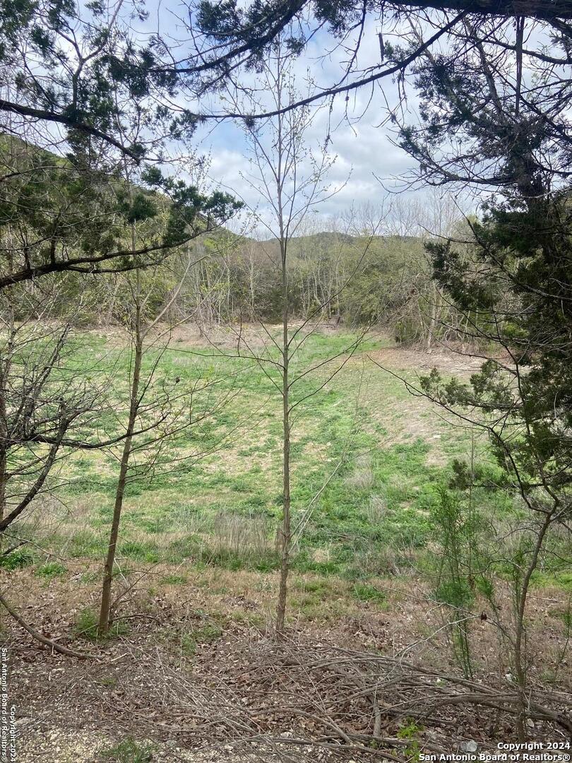 Tbd Bisonte Rojo (Mesa Verde Park) Medina TX 78055