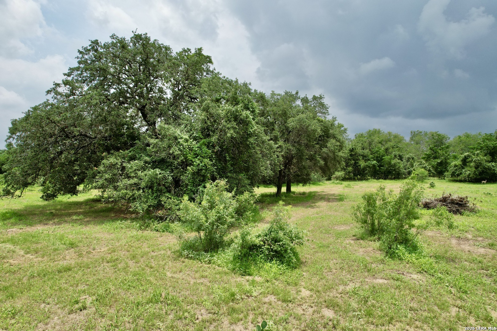 1873 Bronder Road Pleasanton TX 78064