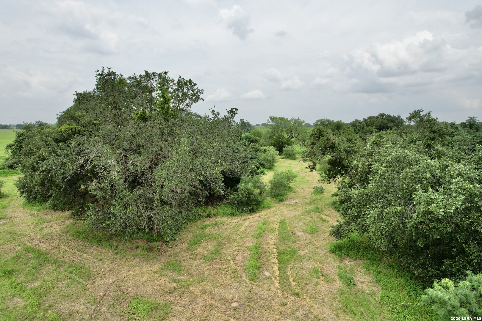 1873 Bronder Road Pleasanton TX 78064