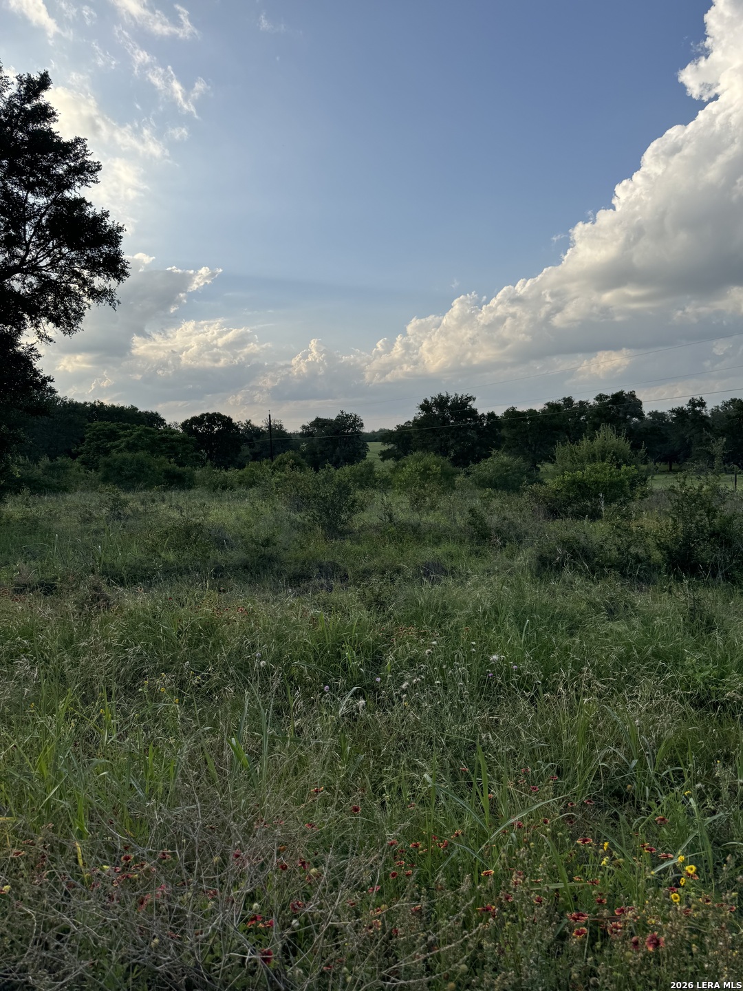 920 Mills Way Seguin TX 78155