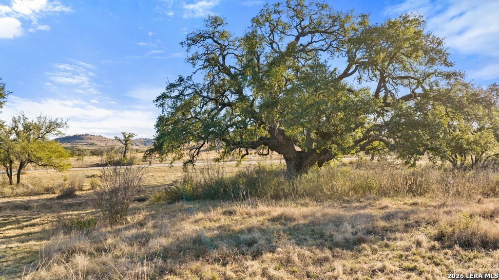 885 Stanton Johnson City TX 78636