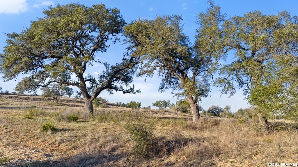 885 Stanton Johnson City TX 78636