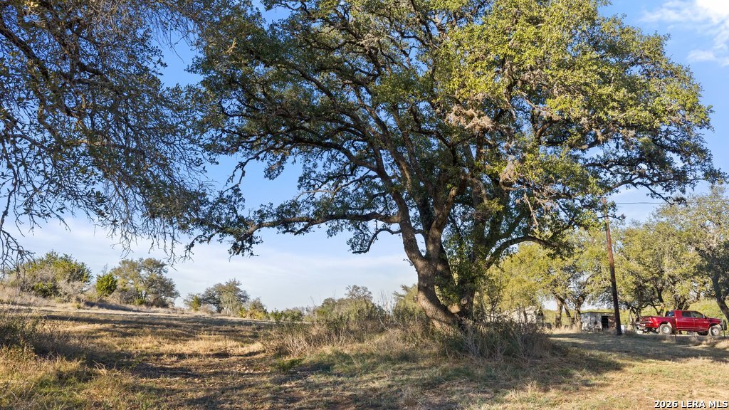 885 Stanton Johnson City TX 78636
