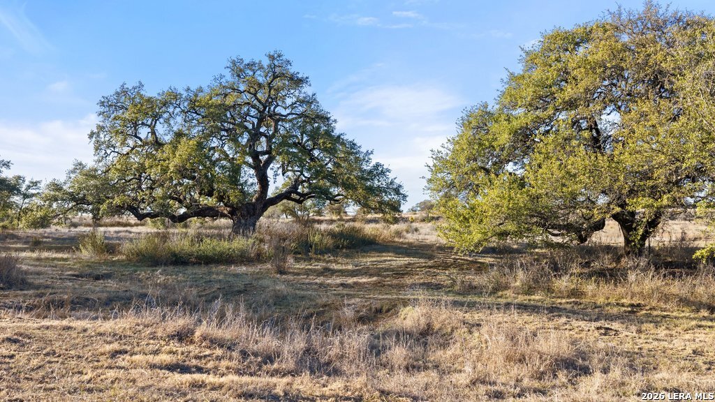 885 Stanton Johnson City TX 78636
