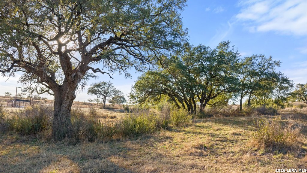 885 Stanton Johnson City TX 78636