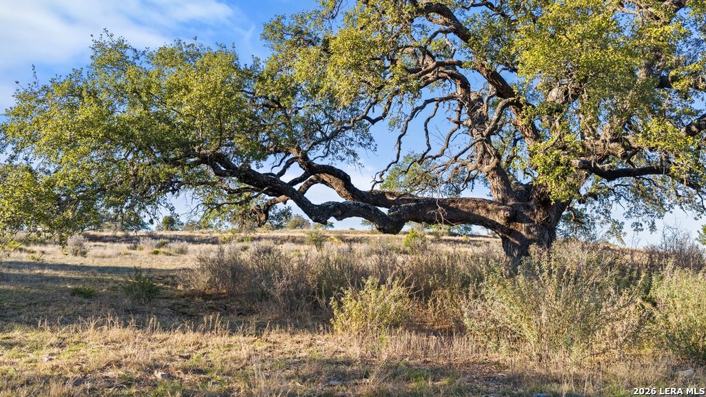 885 Stanton Johnson City TX 78636