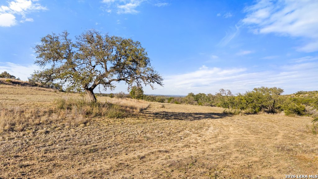 885 Stanton Johnson City TX 78636