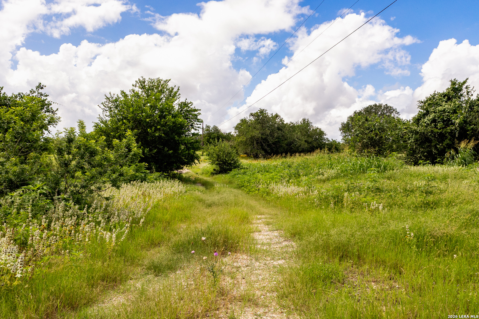 3141 Zion Hill Seguin TX 78155