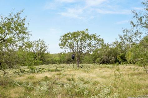 3141 Zion Hill Seguin TX 78155