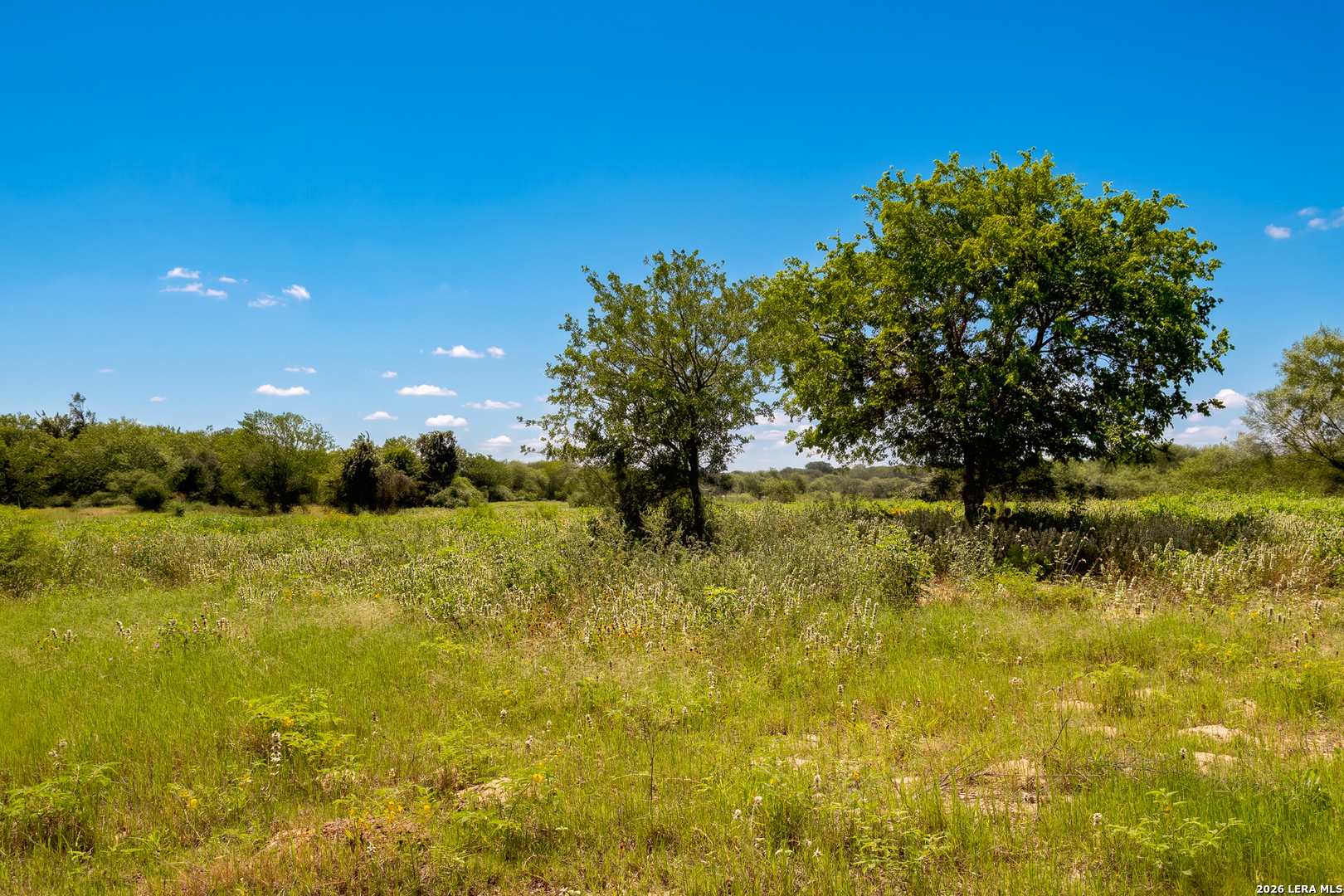 3141 Zion Hill Seguin TX 78155
