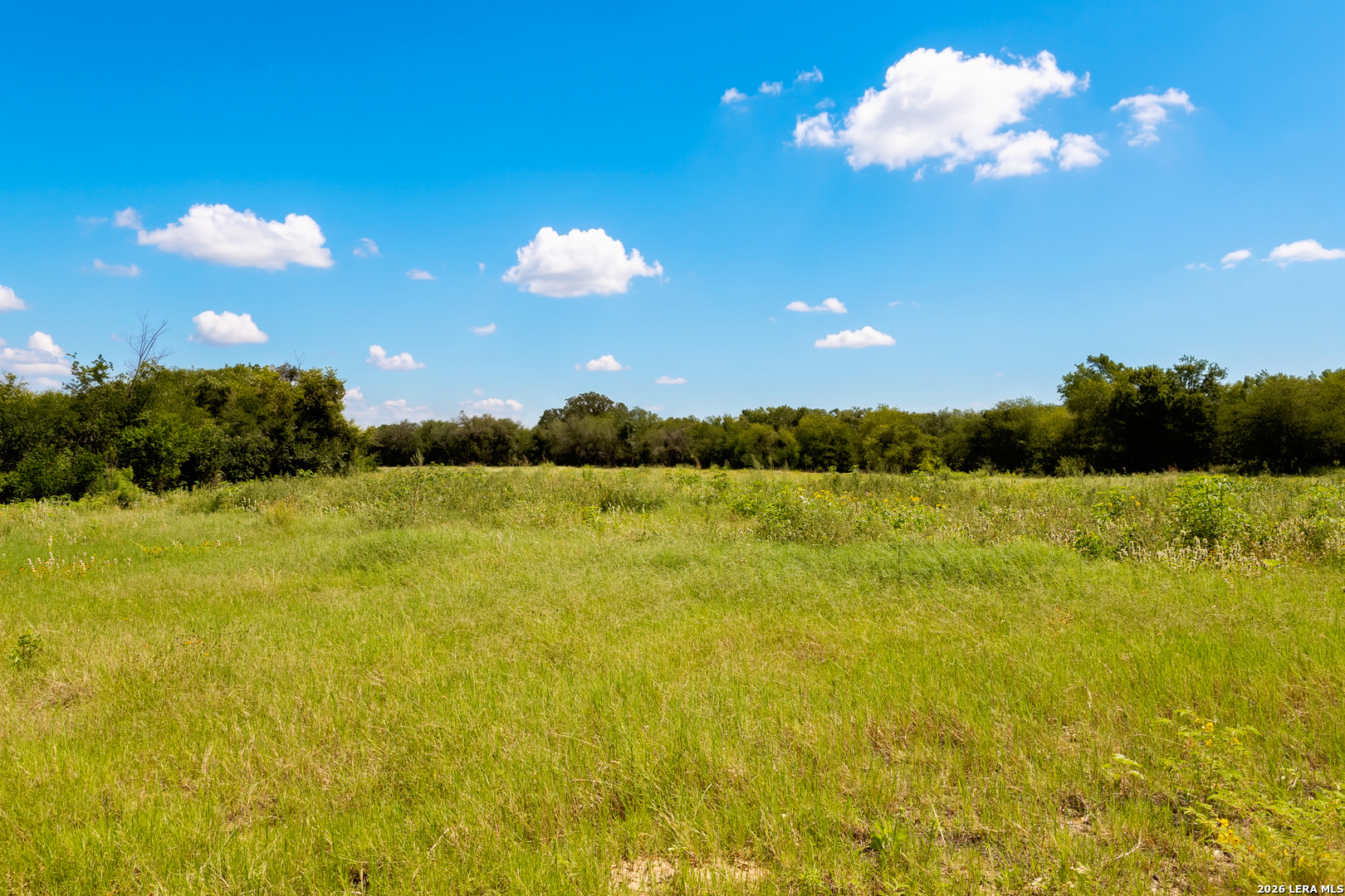 3141 Zion Hill Seguin TX 78155