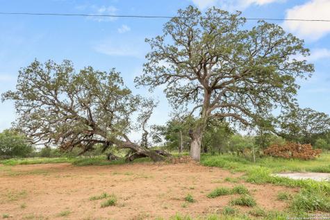 3141 Zion Hill Seguin TX 78155