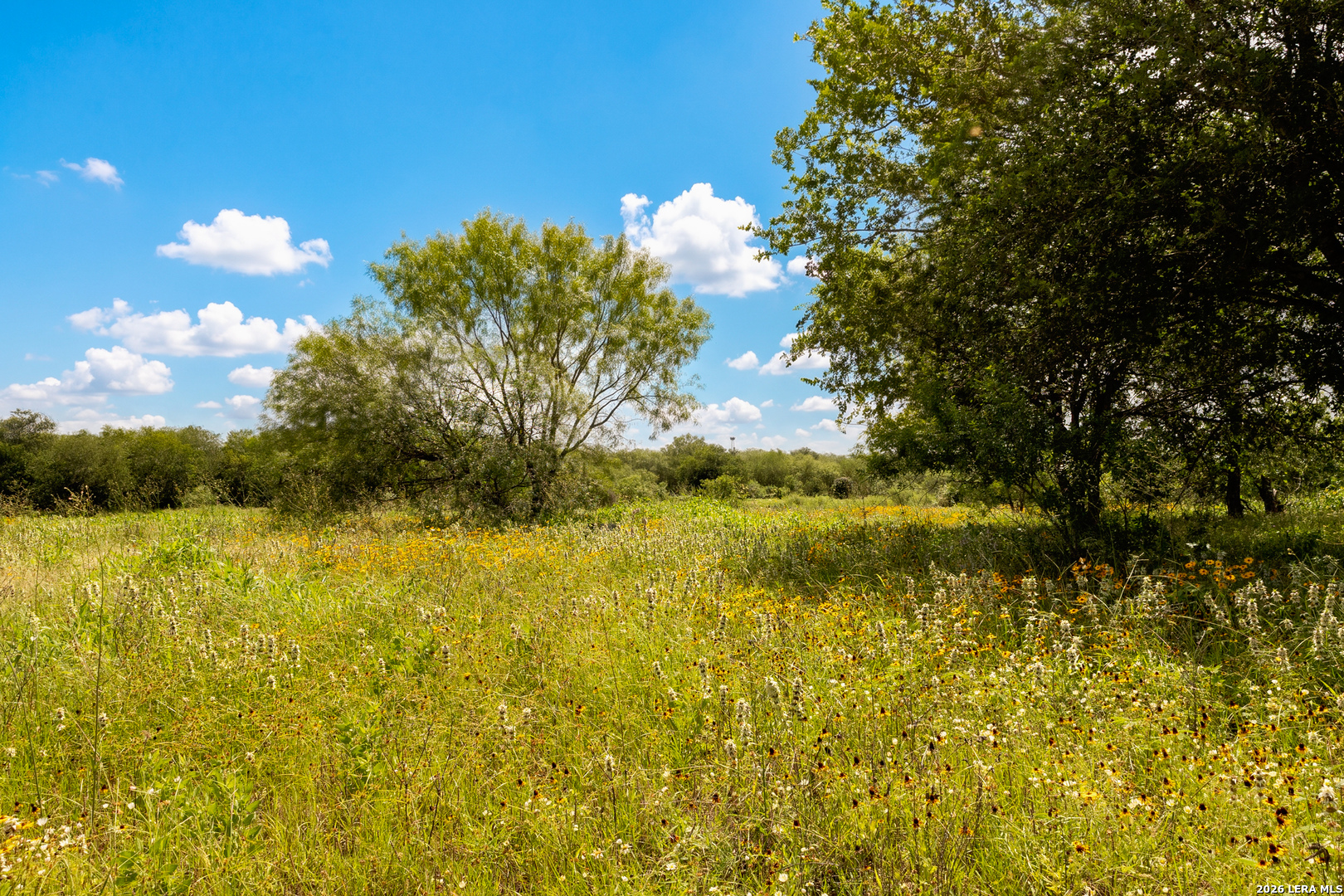 3141 Zion Hill Seguin TX 78155
