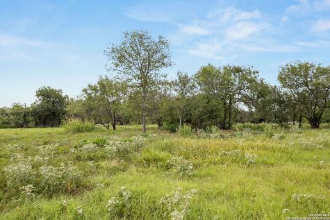 3141 Zion Hill Seguin TX 78155