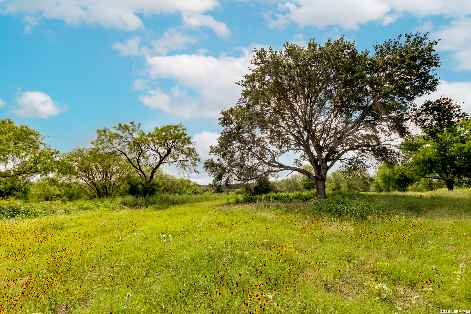 3141 Zion Hill Seguin TX 78155