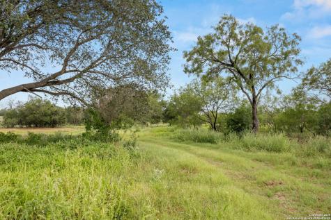3141 Zion Hill Seguin TX 78155
