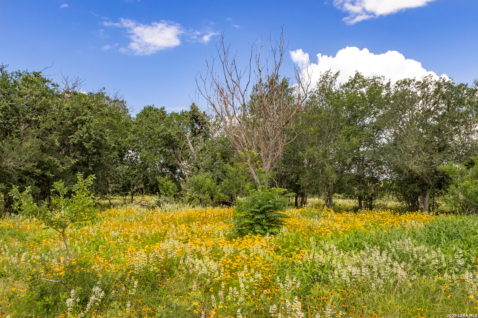 3141 Zion Hill Seguin TX 78155