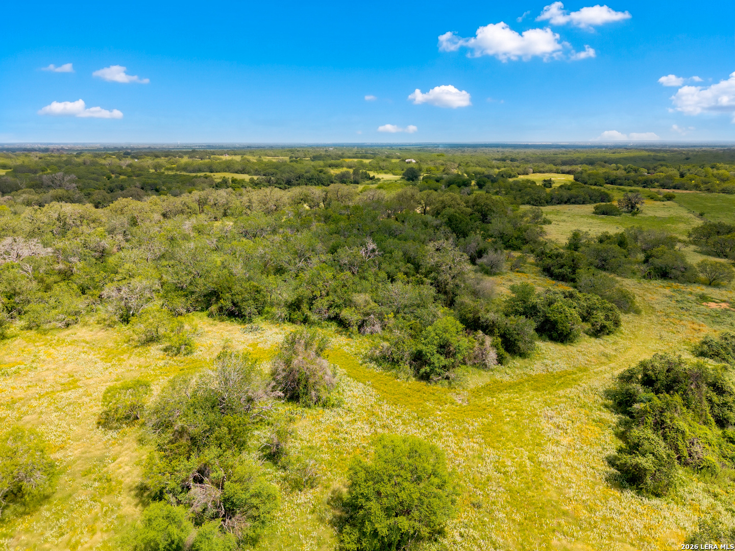 3141 Zion Hill Seguin TX 78155