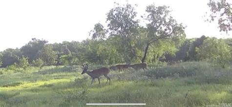 3141 Zion Hill Seguin TX 78155